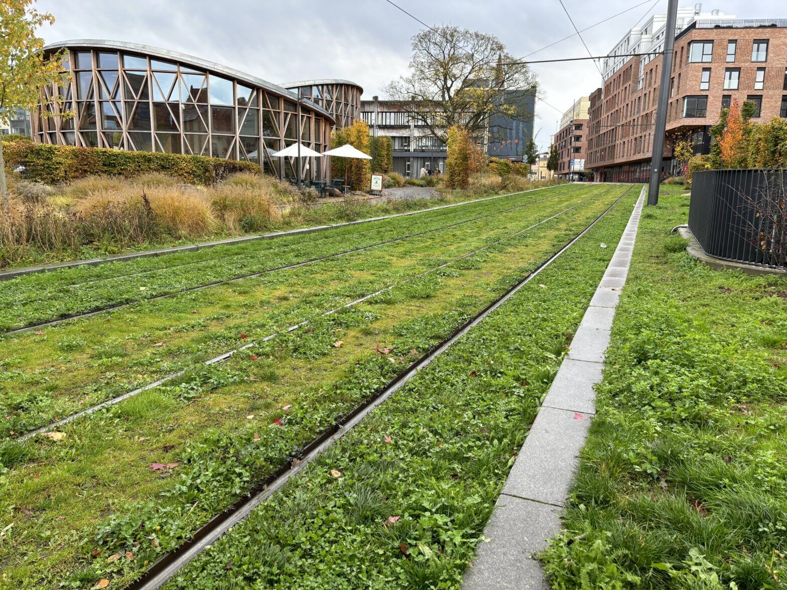 Greening Public Transit Combating Urban Heat Islands Kuba